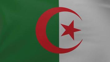 texture du drapeau algérien photo