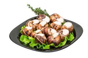 escargots escargots sur une assiette avec de la laitue photo
