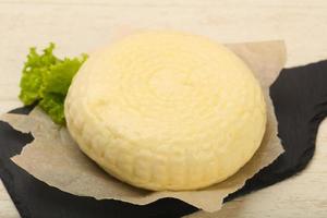 jeune fromage suluguni photo