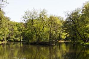 parc d'été, arbres photo