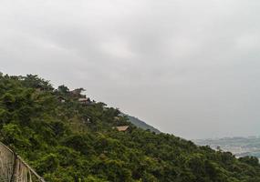 jungle chinoise, île de hainan photo