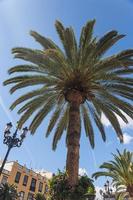 la ville de las palmas de gran canaria, espagne photo