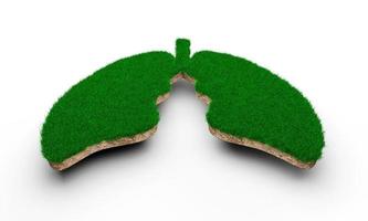 forme de poumons faite d'herbe verte et de section transversale de texture de sol rocheux avec illustration 3d photo