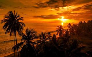 paysage de ciel coucher de soleil orange tropical photo