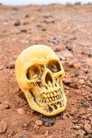 crâne humain abandonné photo