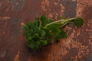 feuilles de basilic vert photo