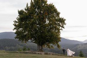 heureux mariés élégants courir et s'amuser dans les montagnes par une journée ensoleillée d'été photo