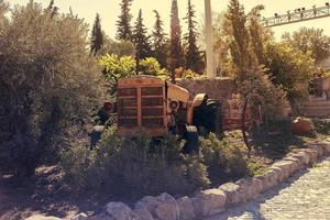 vieux tracteur vintage à la ferme photo