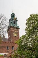 château royal de wawel, cracovie photo