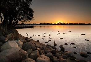 lac au coucher du soleil avec des canards
