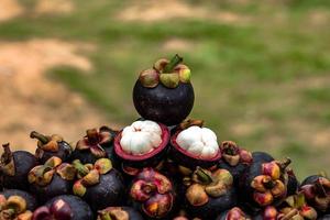 le mangoustan est un fruit asiatique très apprécié. le mangoustan est connu comme la reine des fruits photo