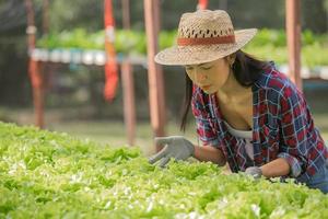 agricultrices asiatiques travaillant dans une ferme hydroponique de légumes avec bonheur. portrait d'une agricultrice vérifiant la qualité des légumes de la salade verte avec le sourire dans la ferme de la serre. photo