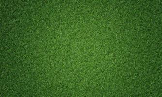 vue de dessus du fond herbeux vert frais naturel. concept de nature et de papier peint. rendu 3d photo
