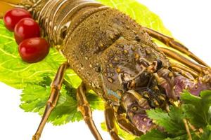 langoustes crues photo