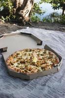 pique-nique. pizza en plein air, repas en plein air. belle nature verte sur le lac photo