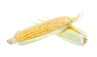 Épi de maïs cru frais isolé sur le blanc photo