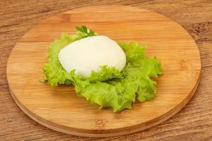 fromage mozzarella italien par-dessus bord photo