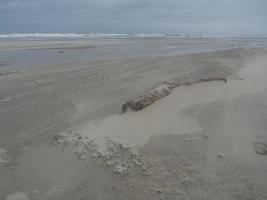 la plage de juist en allemagne photo