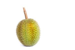 durian en tant que roi des fruits en thaïlande. il a une forte odeur et une croûte couverte d'épines. photo