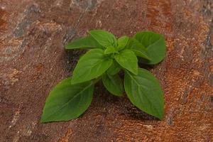 feuilles de basilic vert frais - pour la cuisson photo