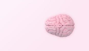 cerveau en vue de dessus sur fond rose. rendu 3d. photo