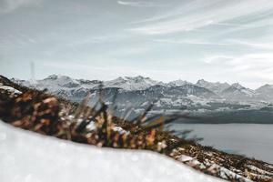 Herbe couverte de neige avec toile de fond de montagne photo