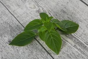 feuilles de basilic vert frais - pour la cuisson photo