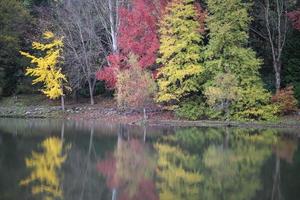 forêt et lac en automne photo