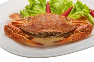 plat de crabe bouilli photo