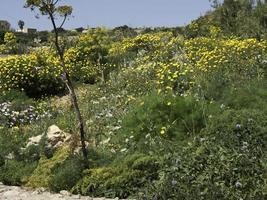 l'île de gozo sur la mer méditerranée photo