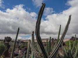 île de lanzarote en espagne photo