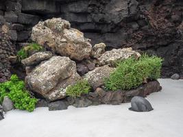 île de lanzarote en espagne photo