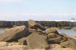 corail de pierre sur la plage photo