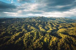 montagnes et arbres verts le soir photo