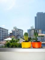 belles jardinières rondes en béton avec cactus. pots en béton peints colorés pour la décoration de la maison photo