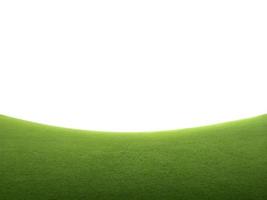 Champ d'herbe verte isolé sur fond blanc photo