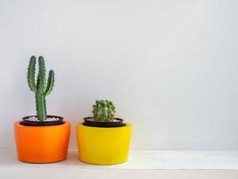 belles jardinières rondes en béton avec cactus. pots en béton peints colorés pour la décoration de la maison photo