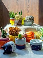 diverses fleurs et plantes de cactus avec de nombreuses jardinières géométriques en béton. pots en béton peints pour la décoration de la maison photo