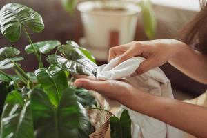 femme nettoyant des feuilles vertes pour ses plantes à la maison. une femme asiatique prend soin de ses plantes à la maison, jardinage à la maison. photo