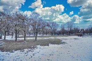 parc dans la ville de varsovie photo