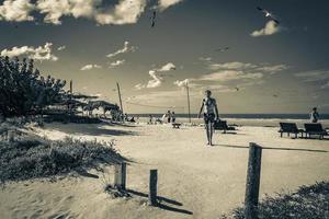 holbox quintana roo mexique 2021 belle île holbox plage banc de sable panorama palapa chaises longues mexique. photo