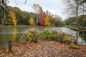 forêt et lac en automne photo