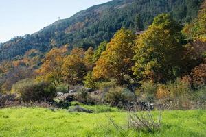 beau paysage d'automne. feuillage coloré photo