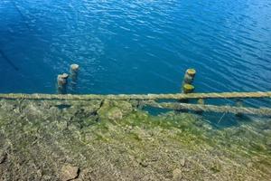 belles rives du lac de bled en slovénie photo