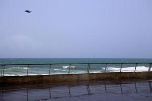 clôture dans un parc de la ville sur la mer méditerranée en israël photo