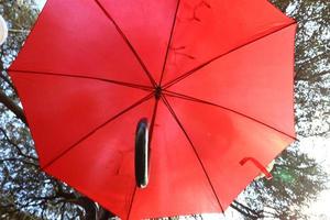 parapluie pour protéger le soleil dans un parc de la ville en israël photo