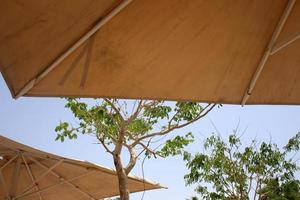 parapluie pour protéger le soleil dans un parc de la ville en israël photo