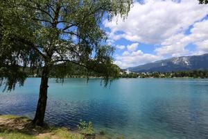 belles rives du lac de bled en slovénie photo