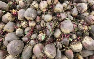 des légumes frais sont vendus dans un bazar en israël photo