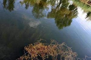 Danube à plein débit dans la capitale autrichienne vienne photo